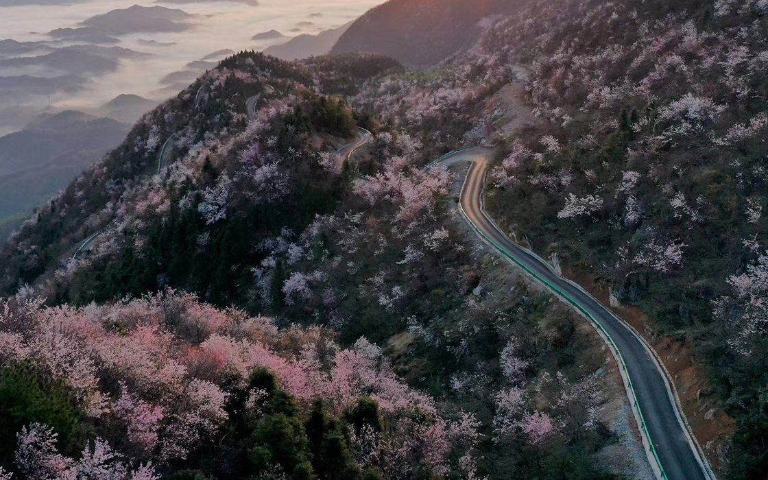 恒峰国际官网 - 天天有惊喜！