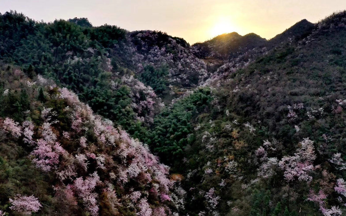 恒峰国际官网 - 天天有惊喜！