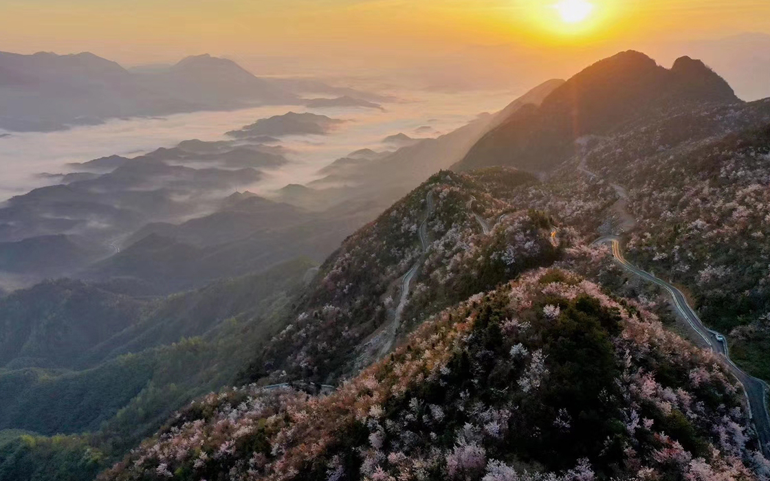 恒峰国际官网 - 天天有惊喜！