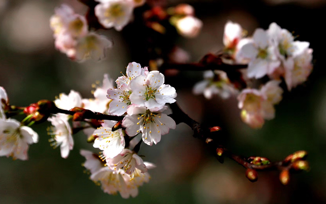 恒峰国际官网 - 天天有惊喜！