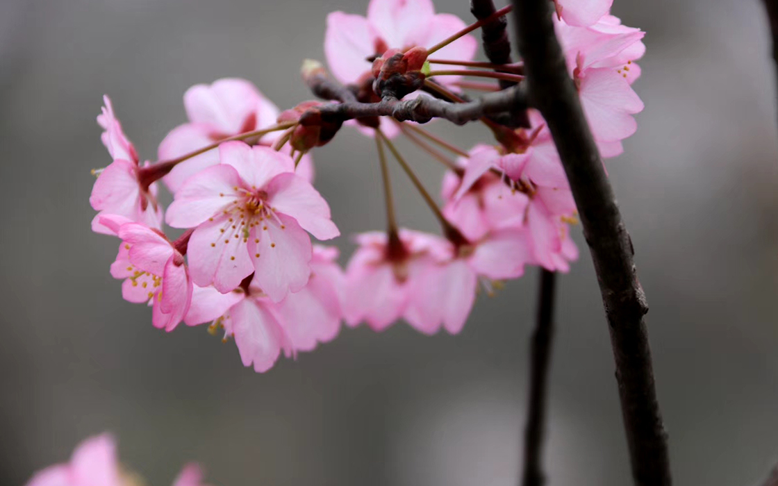 恒峰国际官网 - 天天有惊喜！