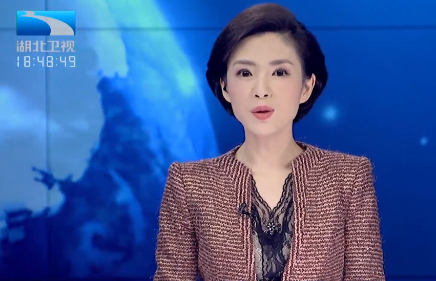 集团董事局主席加入湖北工业援疆推介会