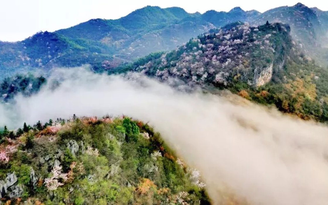 恒峰国际官网 - 天天有惊喜！