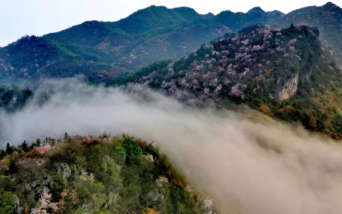 恒峰国际官网 - 天天有惊喜！