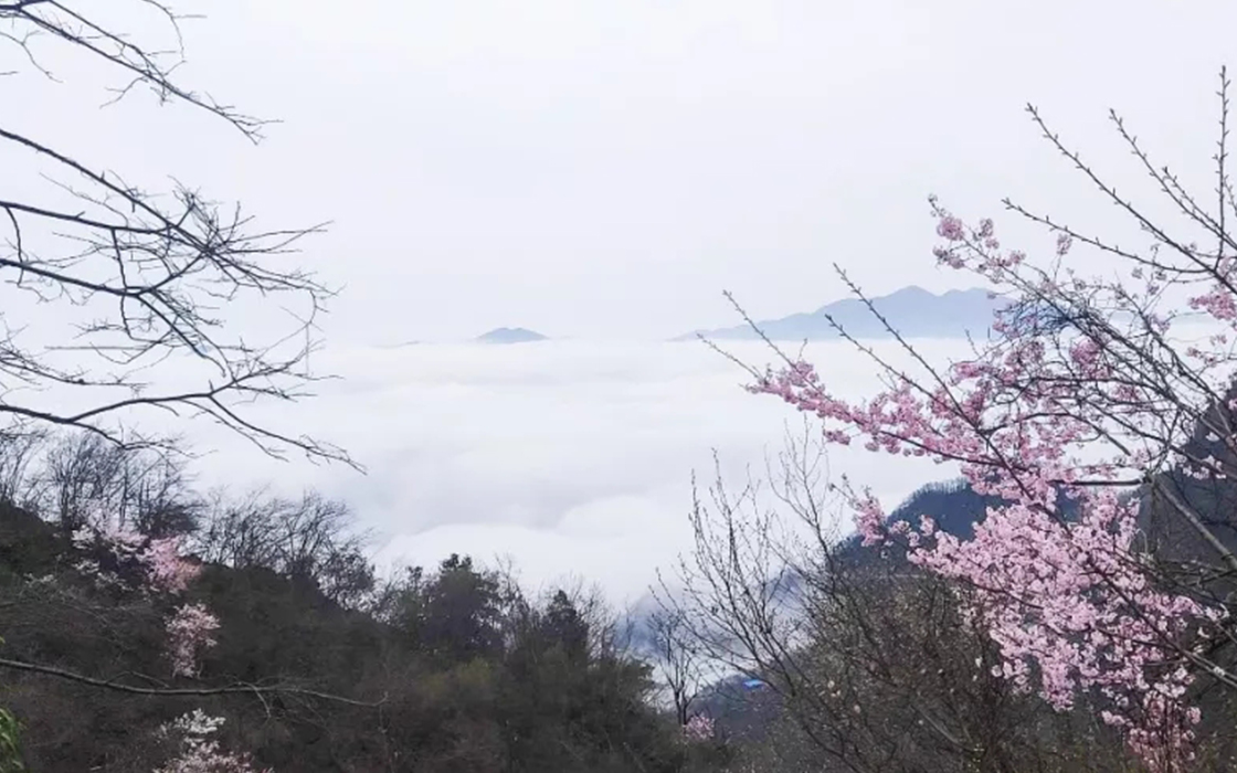 恒峰国际官网 - 天天有惊喜！