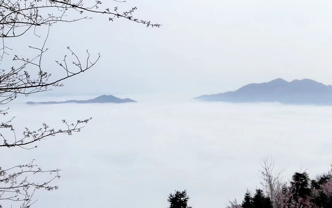 恒峰国际官网 - 天天有惊喜！
