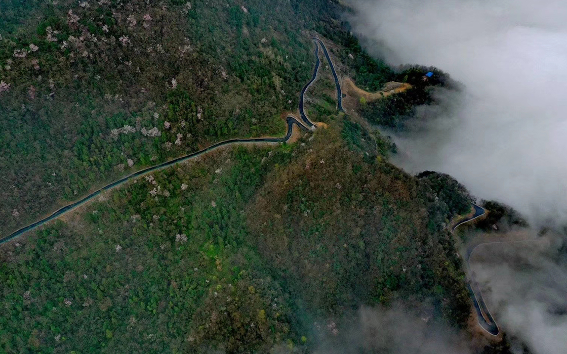 恒峰国际官网 - 天天有惊喜！