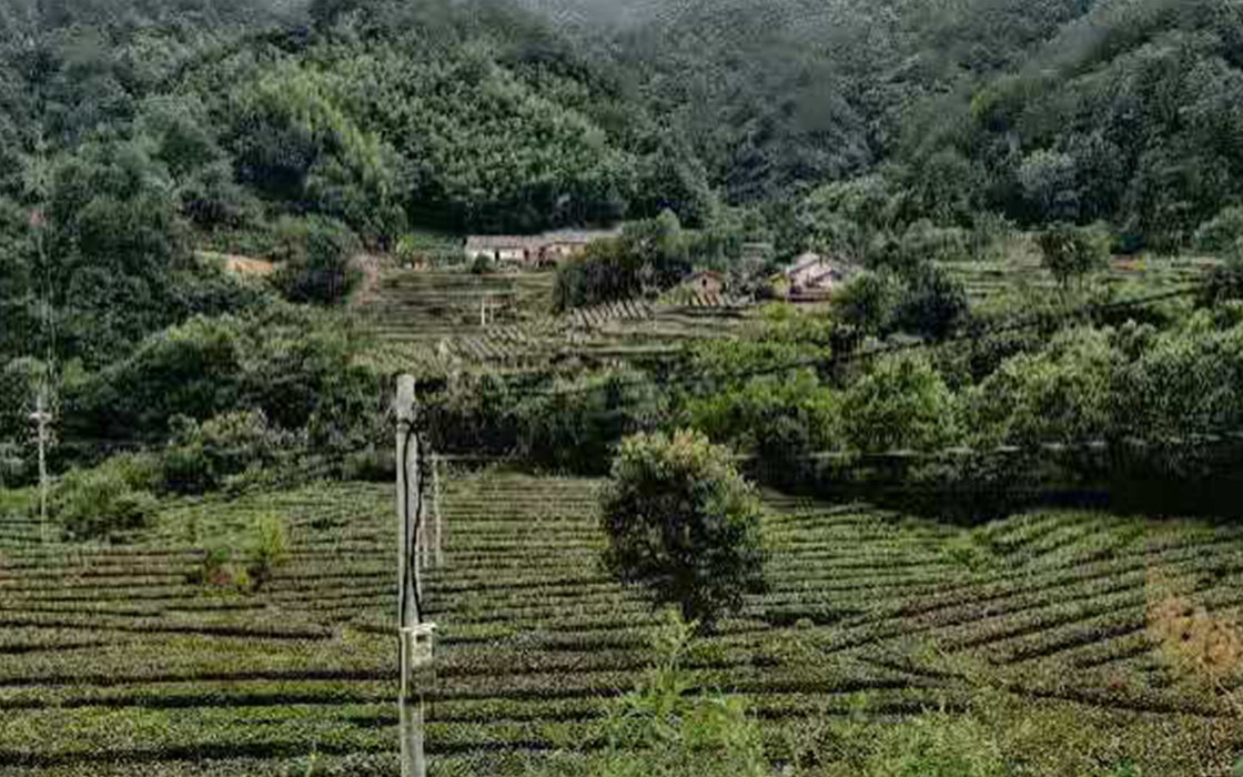 恒峰国际官网 - 天天有惊喜！