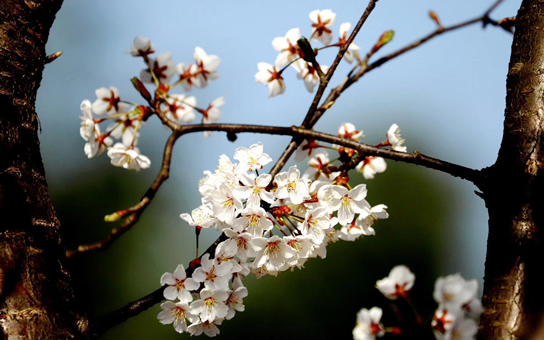 恒峰国际官网 - 天天有惊喜！