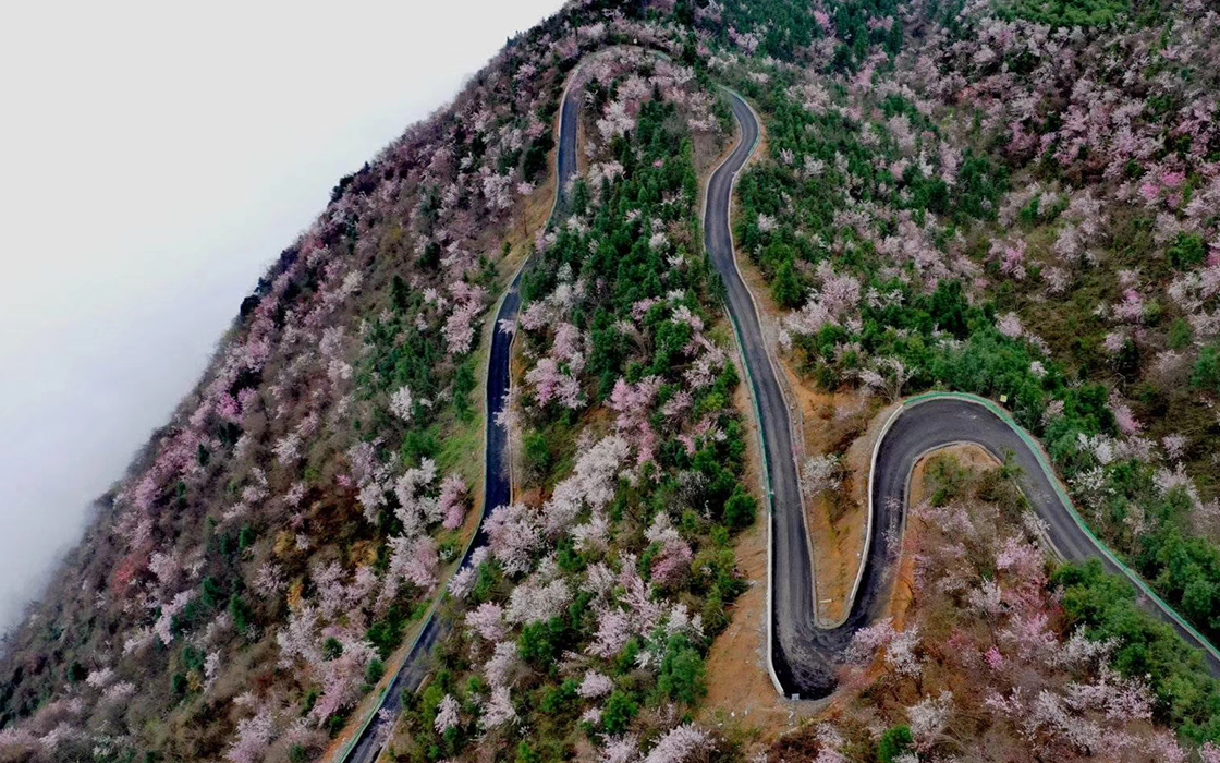 恒峰国际官网 - 天天有惊喜！