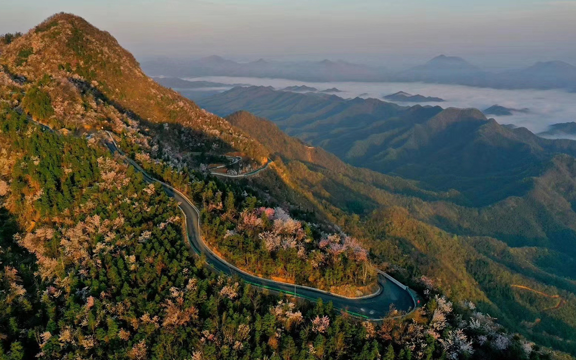 恒峰国际官网 - 天天有惊喜！